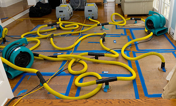 Professional Water Damage Restoration technician working in Columbia, PA